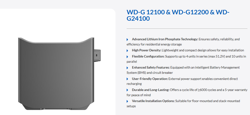 Deye WD-G12100
